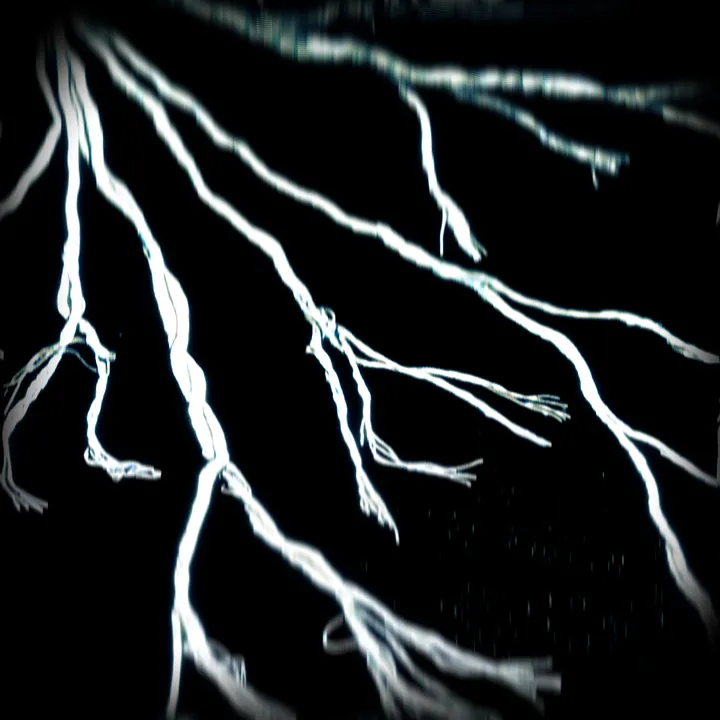 Bleached Veins (2026 Version) cover: white veins branching across black